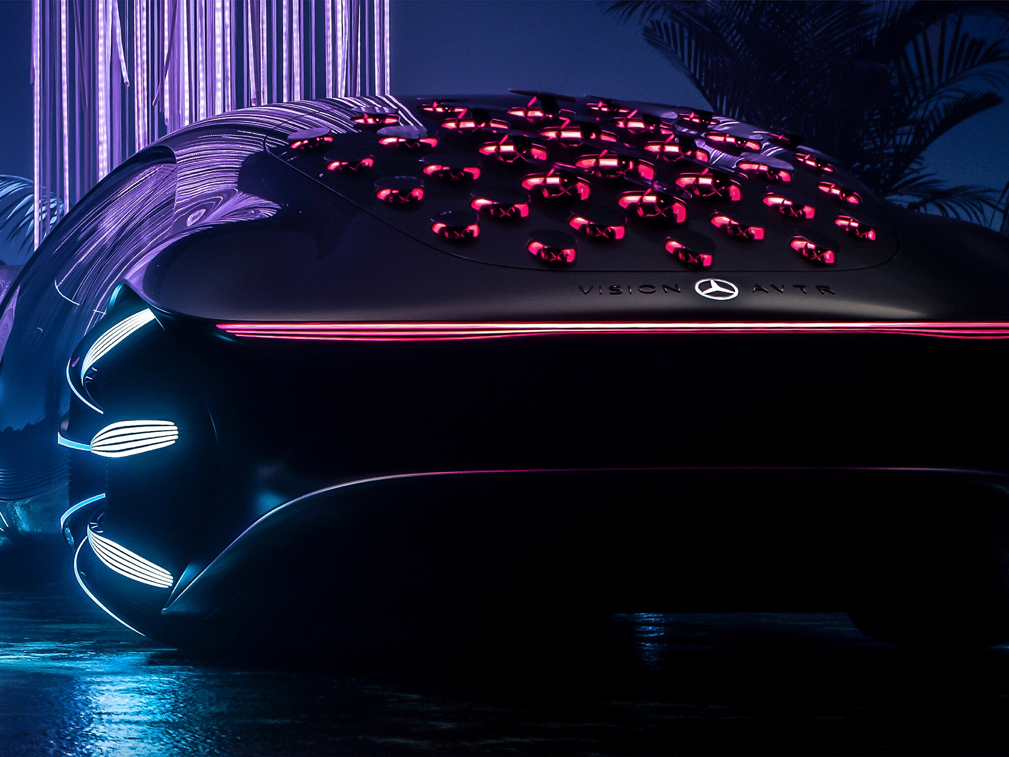 Bionic formal language.